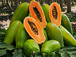 Papayas Chulavista